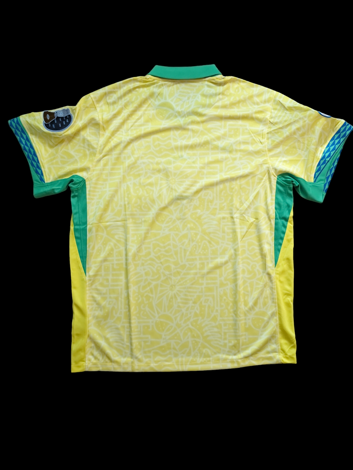 Brazil Copa América Home