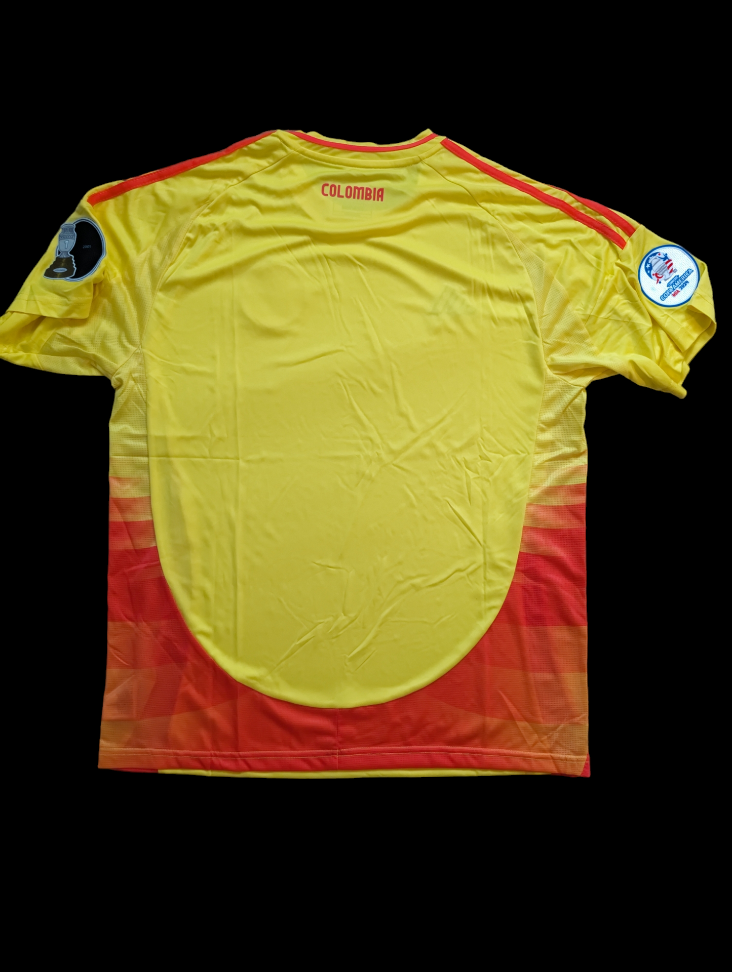 Colombia Copa América Home